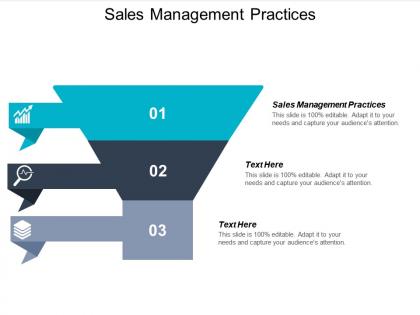 Sales management practices ppt powerpoint presentation professional graphics design cpb