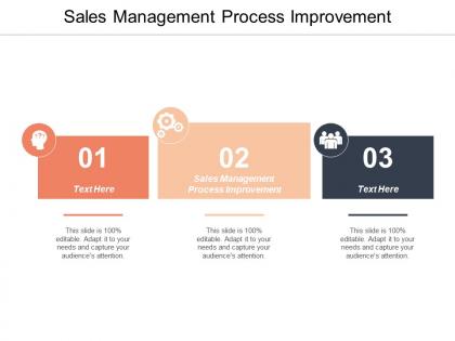 Sales management process improvement ppt powerpoint presentation summary professional cpb