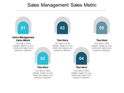 Sales management sales metric ppt powerpoint presentation professional summary cpb