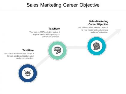 Sales marketing career objective ppt powerpoint presentation show information cpb