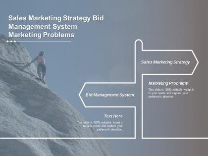 Sales marketing strategy bid management system marketing problems cpb
