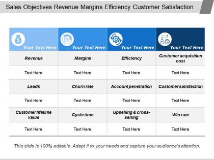 Sales objectives revenue margins efficiency customer satisfaction