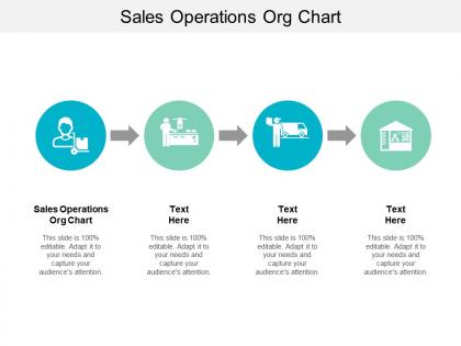 Sales operations org chart ppt powerpoint presentation model good cpb