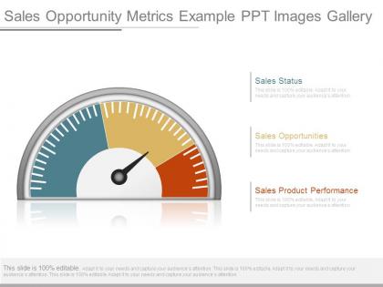 Sales opportunity metrics example ppt images gallery