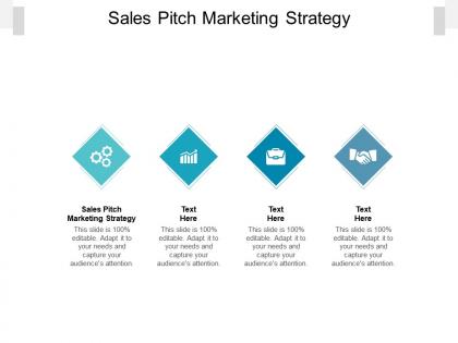 Sales pitch marketing strategy ppt powerpoint presentation portfolio diagrams cpb