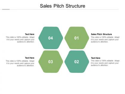Sales pitch structure ppt powerpoint presentation slides cpb