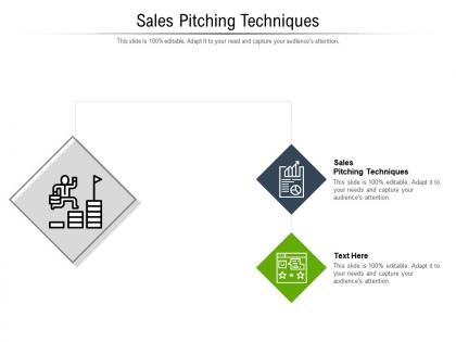 Sales pitching techniques ppt powerpoint presentation file guide cpb