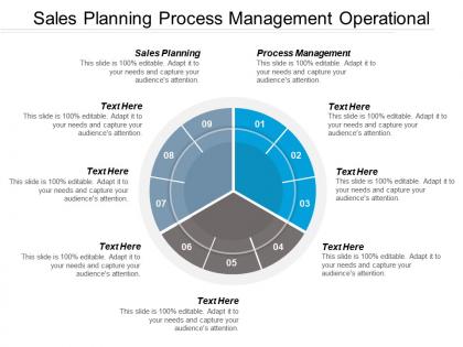 Sales planning process management operational risk management framework cpb