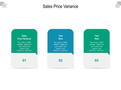 Sales price variance ppt powerpoint presentation model themes cpb