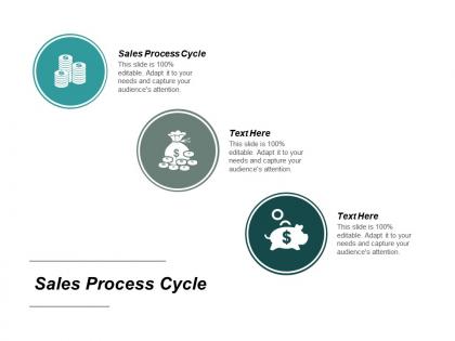 Sales process cycle ppt powerpoint presentation file format ideas cpb
