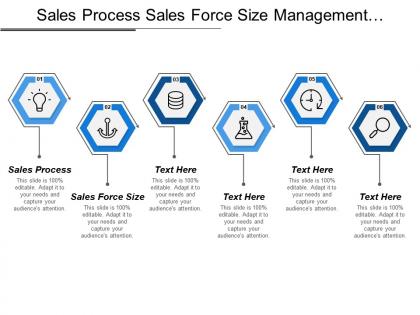 Sales process sales force size management support committee