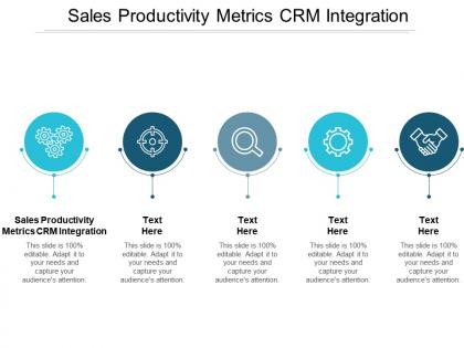 Sales productivity metrics crm integration ppt powerpoint presentation model file formats cpb