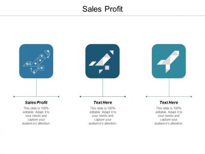 Sales profit ppt powerpoint presentation infographic template sample cpb