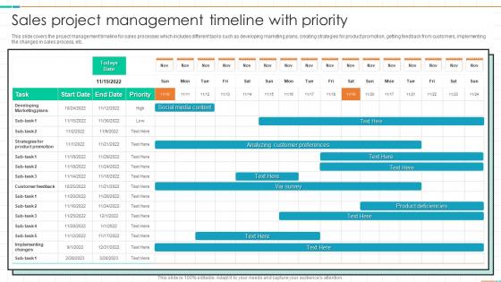 Sales Project Management Timeline With Priority