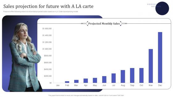Sales Projection For Future With A La Carte Information Technology MSPS