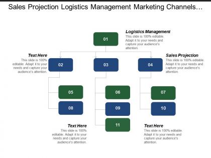 Sales projection logistics management marketing channels marketing plan