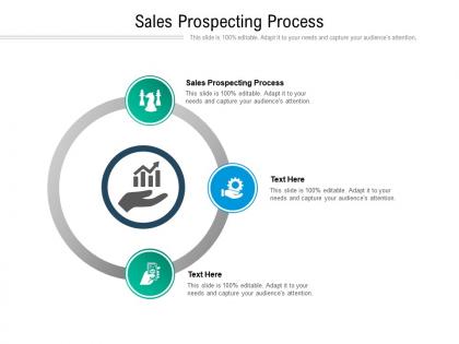 Sales prospecting process ppt powerpoint presentation outline infographics cpb