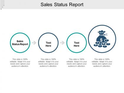 Sales status report ppt powerpoint presentation file slideshow cpb