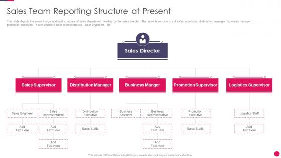 Sales strategies playbook sales team reporting structure at present