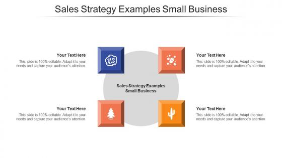 Sales Strategy Examples Small Business Ppt Powerpoint Presentation Infographic Cpb