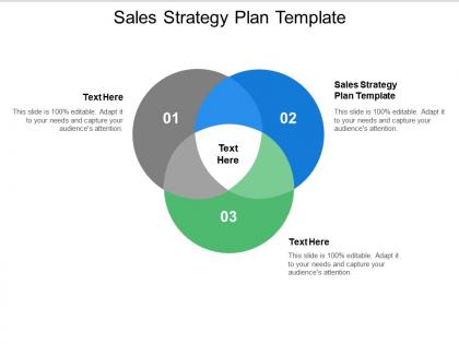 Sales strategy plan template ppt powerpoint presentation professional deck cpb