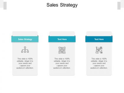 Sales strategy ppt powerpoint presentation layouts format ideas cpb