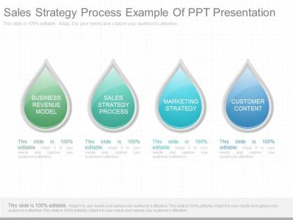 Sales strategy process example of ppt presentation