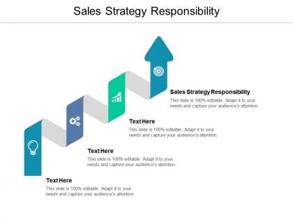 Sales strategy responsibility ppt powerpoint presentation file graphics cpb