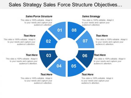 Sales strategy sales force structure objectives strategies actions