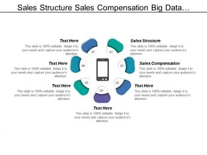 Sales structure sales compensation big data analytics networking