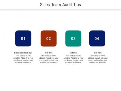 Sales team audit tips ppt powerpoint presentation portfolio deck cpb