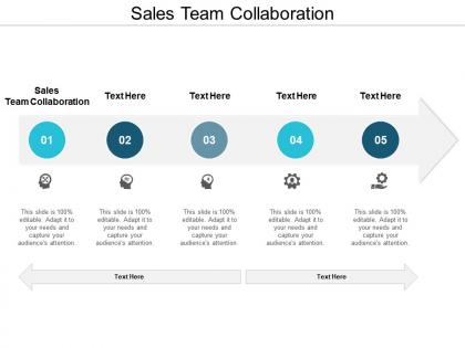 Sales team collaboration ppt powerpoint presentation gallery portfolio cpb