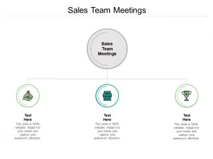 Sales team meetings ppt powerpoint presentation ideas clipart images cpb
