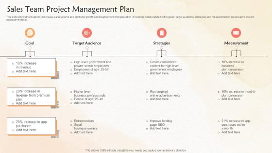Sales Team Project Management Plan