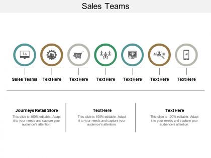 Sales teams ppt powerpoint presentation gallery show cpb