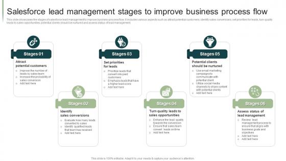 Salesforce Lead Management Stages To Improve Business Process Flow
