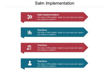 Salm implementation ppt powerpoint presentation layouts structure cpb