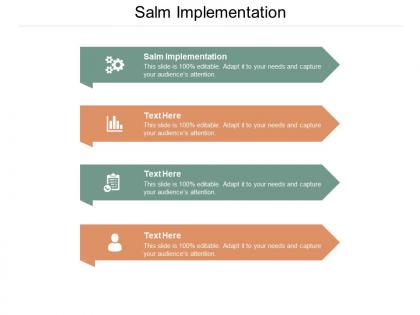 Salm implementation ppt powerpoint presentation portfolio gallery cpb