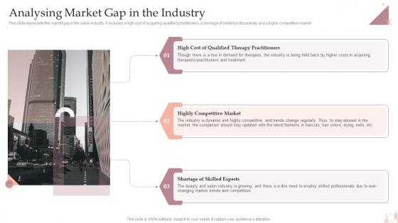 Salon Business Plan Analysing Market Gap In The Industry BP SS