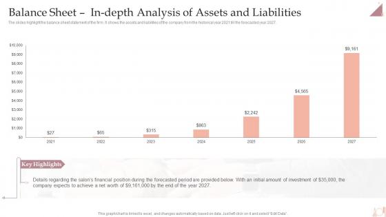 Salon Business Plan Balance Sheet In Depth Analysis Of Assets And Liabilities BP SS