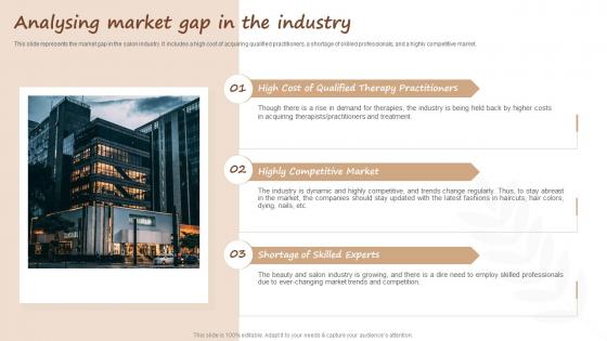 Salon Start Up Business Analysing Market Gap In The Industry BP SS