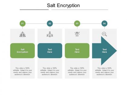 Salt encryption ppt powerpoint presentation outline icon cpb