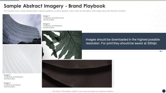 Sample Abstract Imagery Brand Playbook Ppt Infographics Shapes
