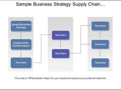 Sample business strategy supply chain transformation behavior strategy cpb