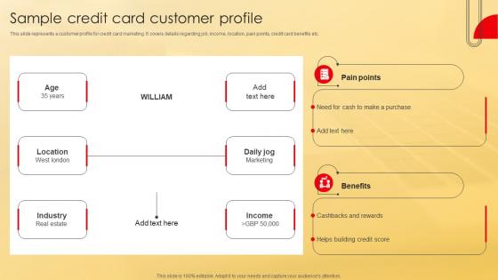 Sample Credit Card Customer Profile Deployment Of Effective Credit Stratergy Ss