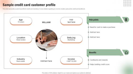 Sample Credit Card Customer Profile Execution Of Targeted Credit Card Promotional Strategy SS V