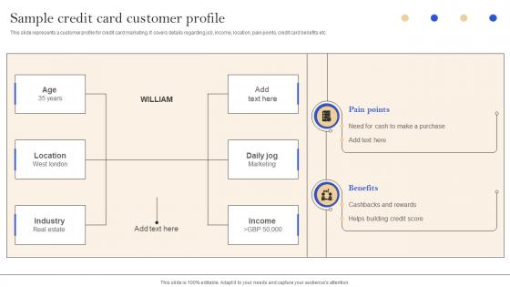 Sample Credit Card Customer Profile Implementation Of Successful Credit Card Strategy SS V