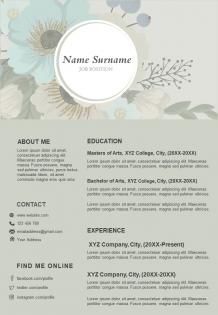 Sample cv resume template with jobs details