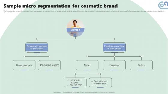 Sample Micro Segmentation For Cosmetic Micromarketing Strategies For Personalized MKT SS V