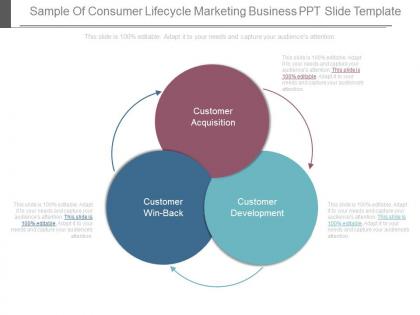Sample of consumer lifecycle marketing business ppt slide template